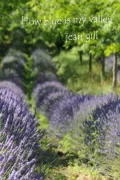 How Blue Is My Valley