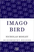 Imago Bird