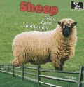 Sheep: Ewes, Rams, and Lambs