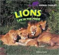 Lions: Life in the Pride