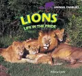 Lions: Life in the Pride