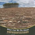 What Can We Do about Deforestation?