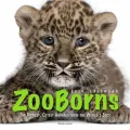 Zooborns 2014 Wall Calendar