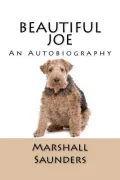 Beautiful Joe