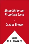 Manchild in the Promised Land