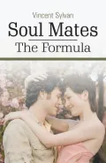 Soul Mates - The Formula