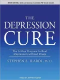 The Depression Cure: The 6-Step Program to Beat Depression Without Drugs