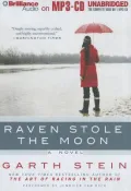 Raven Stole the Moon