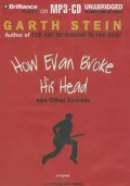 How Evan Broke His Head and Other Secrets