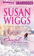 Snowfall at Willow Lake