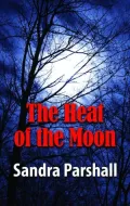The Heat of the Moon (Rachel Goddard Series #1)