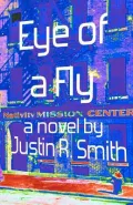 Eye of a Fly
