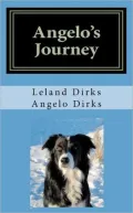 Angelo's Journey: A Border Collie's Quest for Home