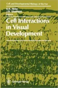Cell Interactions in Visual Development