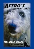 Astro's Adventures. the Great Escape