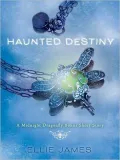 Haunted Destiny - Midnight Dragonfly Bonus Short Story