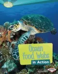 Ocean Food Webs