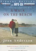 A Walk on the Beach