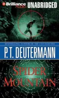 Spider Mountain