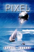 Pixel