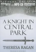 A Knight in Central Park