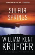 Book cover of Sulfur Springs