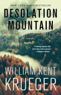 Book cover of Desolation Mountain