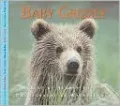 Baby Grizzly
