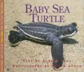 Baby Sea Turtle