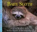 Baby Sloth