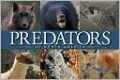 Predators of North America