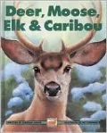 Deer, Moose, Elk and Caribou