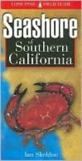 Seashore of Southern California