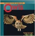 Owls