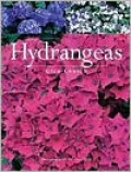 Hydrangeas
