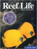 Reef Life