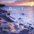 Bay of Fundy: A Natural Portrait