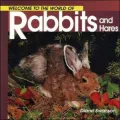 Welcome to the World of Rabbits and Hares