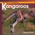 Welcome to the World of Kangaroos