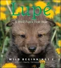 Lupe: A Wolf Cub's First Year