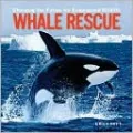 Whale Rescue: Changing the Future for Endangered Wildlife