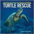 Turtle Rescue: Changing the Future for Endangered Wildlife