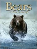 Bears: A Year in the Life