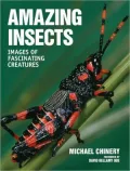 Amazing Insects: Images of Fascinating Creatures