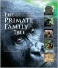 Primate Family Tree: The Amazing Diversity of Our Closest Relatives