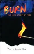 Burn: The Life Story of Fire