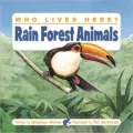 Rain Forest Animals