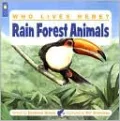 Rain Forest Animals
