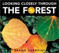 Looking Closely Through the Forest