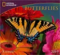 2011 National Geographic Butterflies Wall Calendar
